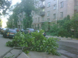 Упавшие деревья заблокировали проезжую часть на Парковой аллее в Киеве