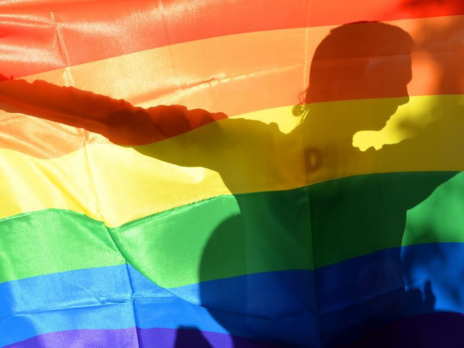 Внимание МИД РФ привлекло агрессивное продвижение прав секс-меньшинств