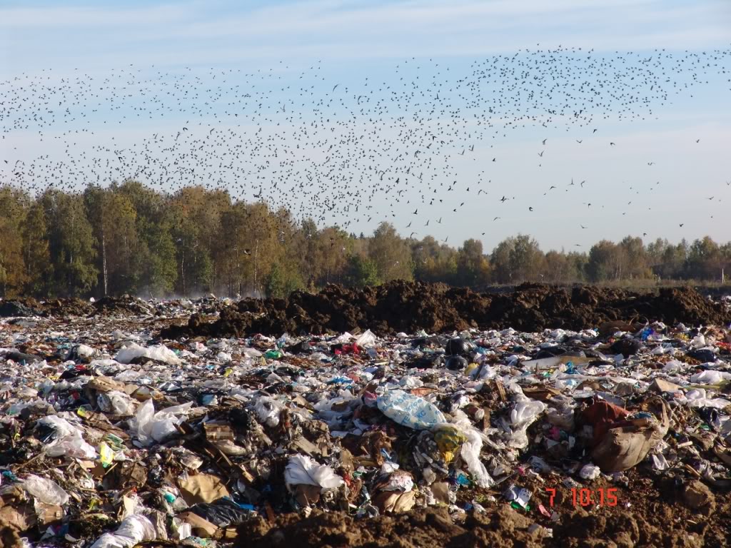 На реконструкцию мусорного полигона в Киеве выделили 47 млн грн 