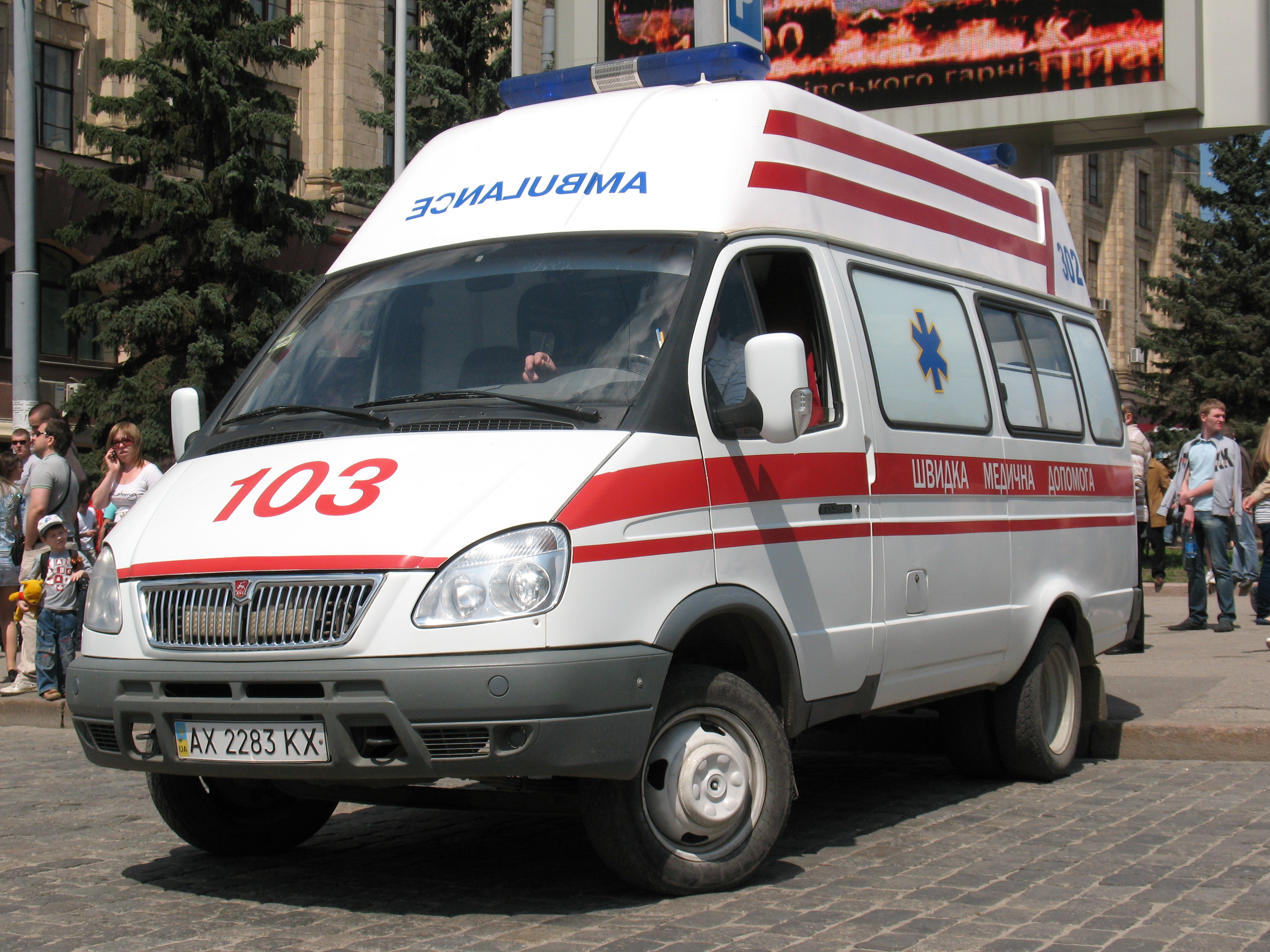 В Одессе на девочку упало дерево: ребенок госпитализирован